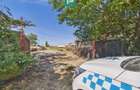 Teren intravilan 146.866 mp | Jimbolia - 4