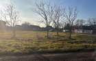 Teren intravilan giarmata 980 mp 24m fs toate utilitatile