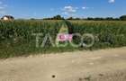 Teren intravilan 2000 mp si extravilan 1150 mp de vanzare in Vad