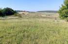 Vand teren pentru constructie in Vechea- Chinteni - 3