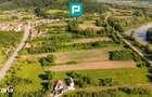 Teren intravilan 5.200 mp Capruta, com. Barzava