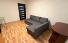 Inchiriere apartament 2 camere decomandat Raul Doamnei - 5