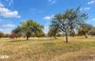 Livada in Zalan, 1100 mp I Natura, liniste si peisaj deosebit