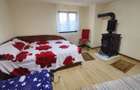 2 CASE | 465 MP TEREN | LANGA LAC | - 10