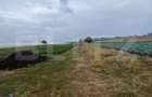 Teren de vanzare, 4700 mp, Strada Brazilor - Baleni Sarbi (Dambovita) - 1