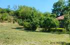 SomovaTeren intravilan - 3