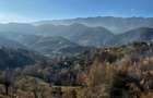 Magura/Brasov, teren generos, pretabil investitie cabane/pensiune/casa - 13