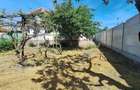 Casă cu Teren 1000 Mp în Arginești - 2