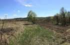 Proprietar,Teren Valea Ursului la 5km de Pitesti - 2