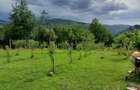 Casă cu 3 camere cu Teren 2931 Mp în Bălnaca - 5