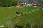 Teren 1500 mp de vanzare in Curtea de Arge?. - 3