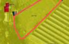 Proprietar vand teren intravilan ?i imprejmuit de 2310 mp in Baile Herculane, Platoul Coronini - 1