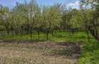 Vand casa Arges Dobrogostea - 3