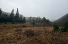 Vand teren Com Ciocanesti , sat Botos ,jud. Suceava