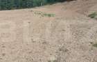 Teren 18.933 mp, parcelabil, zona Vatra Dornei - 3