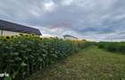 Teren intravilan 2600 mp de vanzare, Ipotesti- Lisaura, Suceava