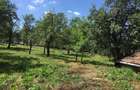 Casă cu Teren 6500 Mp în Dretea - 3