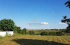 Teren intravilan Adunatii Copaceni | 3.399 mp | Ideal investitie - 5