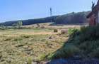 Proprietar Vand Teren Intravilan 1,74 Ha ?i Grajd la ?osea, Comuna Bata, Jud. Arad - 2