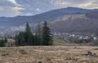 Teren intravilan | Valeni-Stanisoara | 1000 mp | T-7785 - 1
