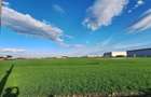 Teren intravilan 3400 mp, Dragomiresti-Deal, Str. Ulmului - 7