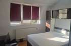 Apartament cu 2 camere, DECOMANDAT, zona Centru-Palas Campus - 10
