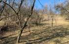 teren Valea Lunga 2000 mp - 2