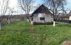 Teren intravilan cu casuta - 6