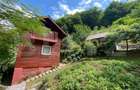 Casa de vacanta cu 4 camere, 1470 mp teren, Sugag - 11