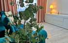 🏡 Apartament 2 camere PALAS  - poze reale, mobilat si utilat complet,  PRET 450 - 10