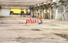 Spațiu industrial, de 8,062 mp, în Nord - 4