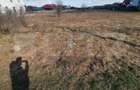 Teren Construcții de 2600 mp, în Cetate - 2