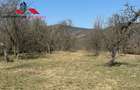 Casa si anexe cu un teren de 7701 mp de vanzare in Stauini Jud Alba - 9