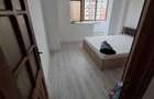 Apartament 2 camere Dr.Tr. Severin - 2