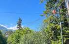 Sinaia - Furnica Urgent - Teren 1200 mp - 3
