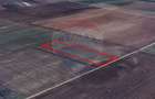 Teren agricol extravilan de 6500 mp, în Hărman - 6