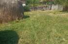 Teren Intravilan, situat in Sat Tismana (zona Gornovita) - 1