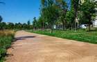 Apartament cu 3 camere decomandat în Grigorescu - 14