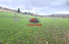 Teren extravilan Valea Doftanei 20.500 mp 6e mp - 9