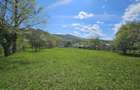 Casă cu Teren 3850 Mp în Prajila - 5
