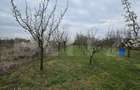 Teren intravilan de vanzare, 2.877 mp, zona Apateu Satu Mare - 1