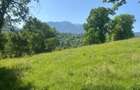 Teren agricol de 2951 mp, în Bran - 2