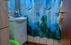 Apartament cu 2 camere decomandat în Giurgiului - 13