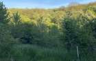 Teren de 1500 mp, în Bucovăț - 5
