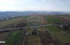 Teren 19.375 mp Dambu Rotund. Potential rezidential. Extravilan - 7