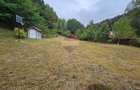 Căsuță de vacanță de vânzare – comuna Alexandru cel Bun, Neamț - 9