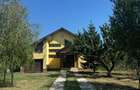 Casă individuală cu 5 camere cu Teren 1654 Mp în Viforâta - 1