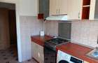 Alexandru Cel Bun Parcul Voievozilor apartament 3 camere 78 mp cu CT - 5