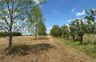 Casa P+M+Teren 1,6 ha Ideal Pensiune Camin varstnici Viile Satu Mare - 5