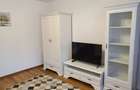 Apartament 2 camere decomandat de inchiriat - 3